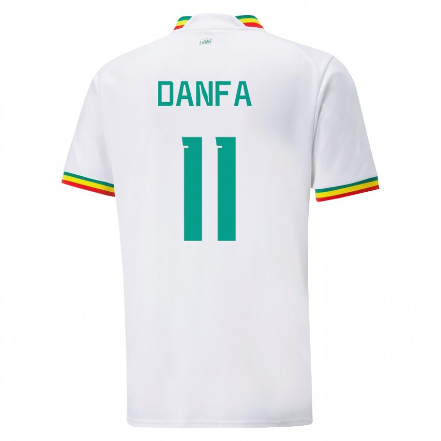 Kinder Senegalesische Mamadou Danfa #11 Weiß Heimtrikot Trikot 22-24 T-shirt Österreich