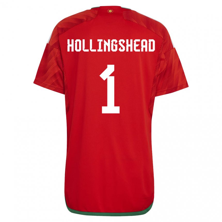 Kinder Walisische Ronnie Hollingshead #1 Rot Heimtrikot Trikot 22-24 T-shirt Österreich