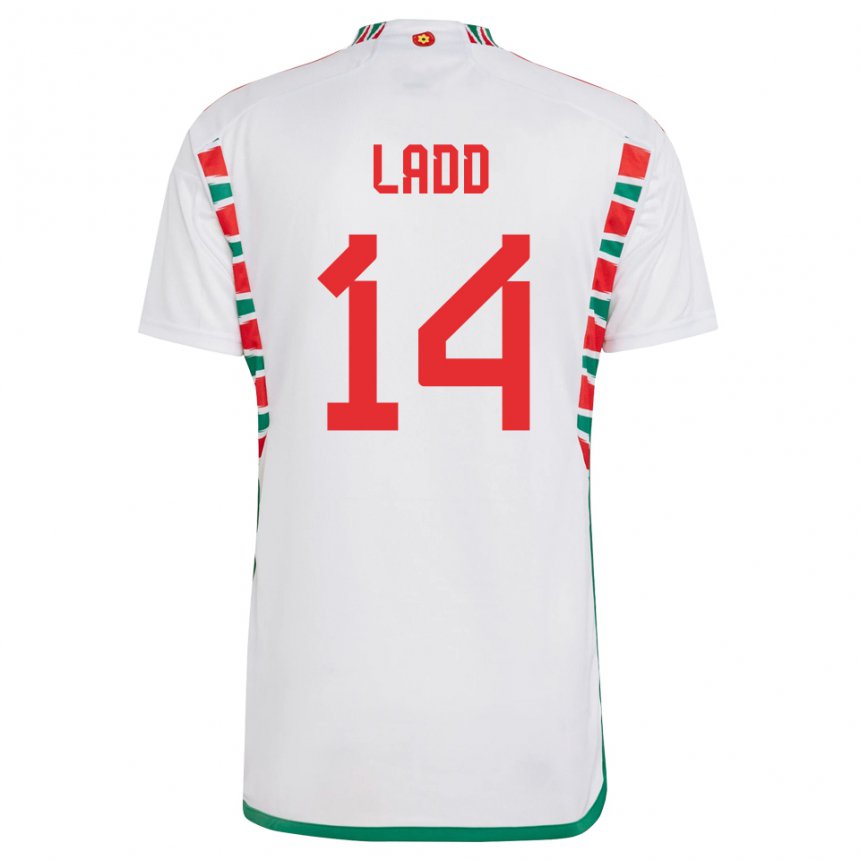 Kinder Walisische Hayley Ladd #14 Weiß Auswärtstrikot Trikot 22-24 T-shirt Österreich