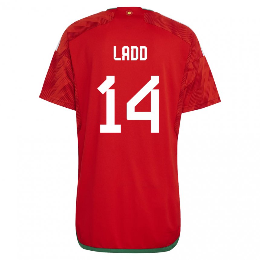 Herren Walisische Hayley Ladd #14 Rot Heimtrikot Trikot 22-24 T-shirt Österreich