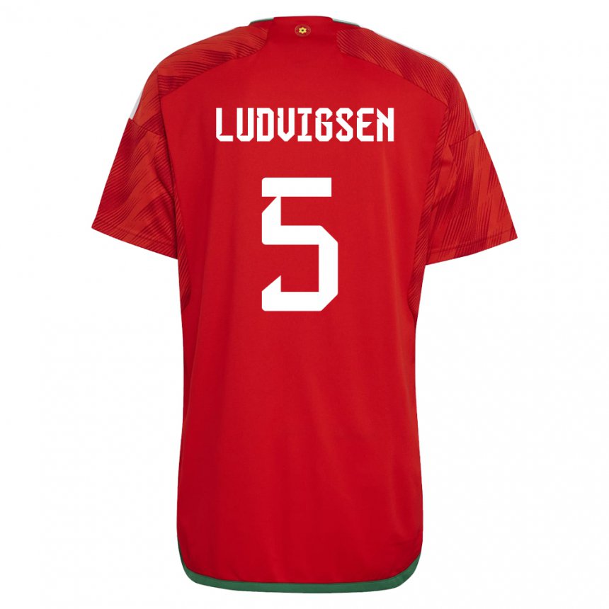 Herren Walisische Kai Ludvigsen #5 Rot Heimtrikot Trikot 22-24 T-shirt Österreich