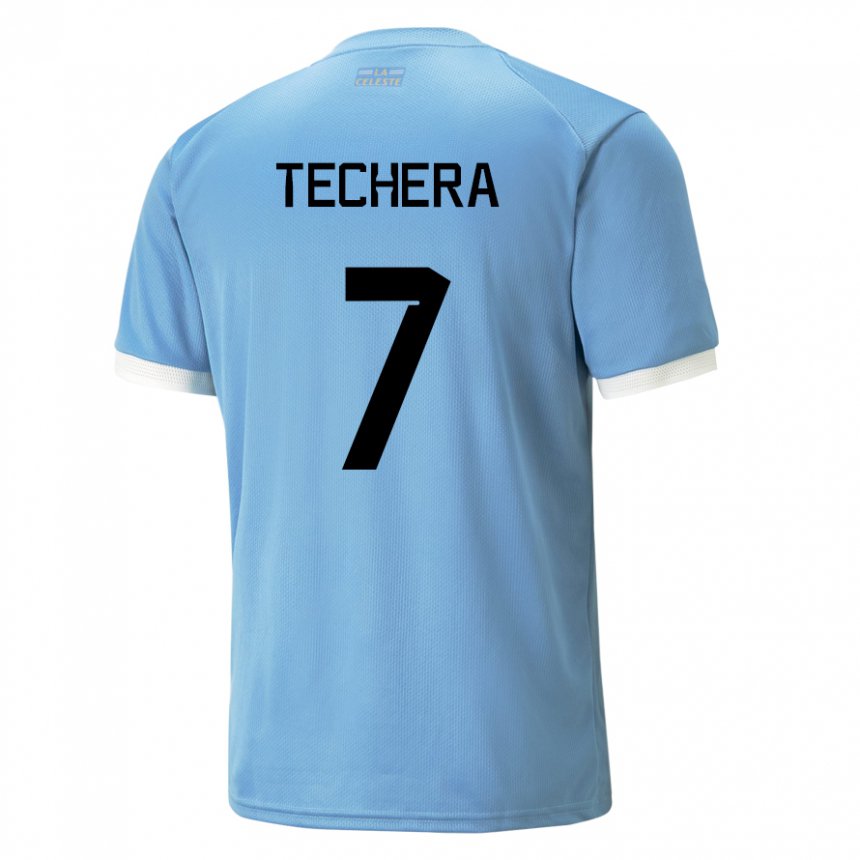Damen Uruguayische Facundo Techera #7 Blau Heimtrikot Trikot 22-24 T-shirt Österreich