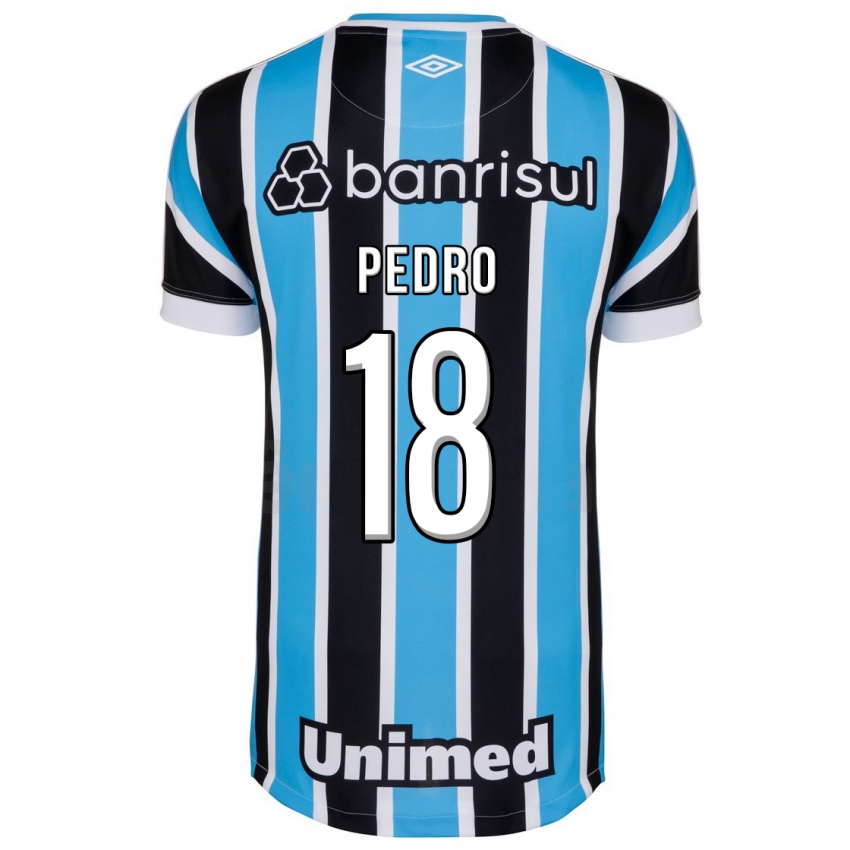 Kinder João Pedro #18 Blau Heimtrikot Trikot 2023/24 T-Shirt Österreich