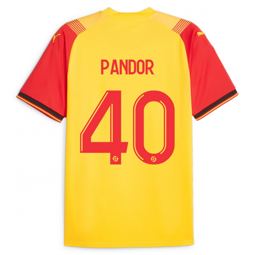 Kinder Yannick Pandor #40 Gelb Heimtrikot Trikot 2023/24 T-Shirt Österreich