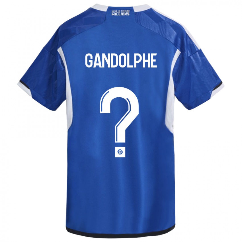 Kinder Adrien Gandolphe #0 Blau Heimtrikot Trikot 2023/24 T-Shirt Österreich