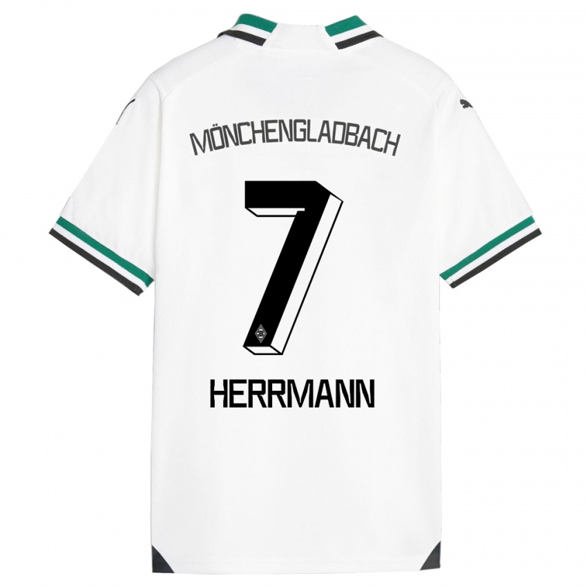 Herren Patrick Herrmann #7 Weiß Grün Heimtrikot Trikot 2023/24 T-Shirt Österreich