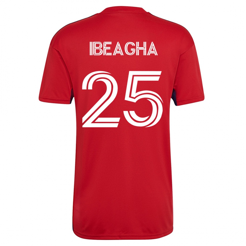 Herren Sebastien Ibeagha #25 Rot Heimtrikot Trikot 2023/24 T-Shirt Österreich