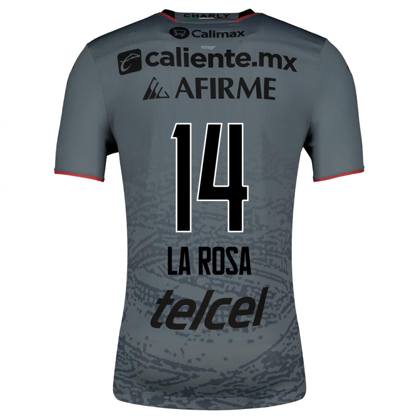 Herren Joselyn De La Rosa #14 Grau Auswärtstrikot Trikot 2023/24 T-Shirt Österreich