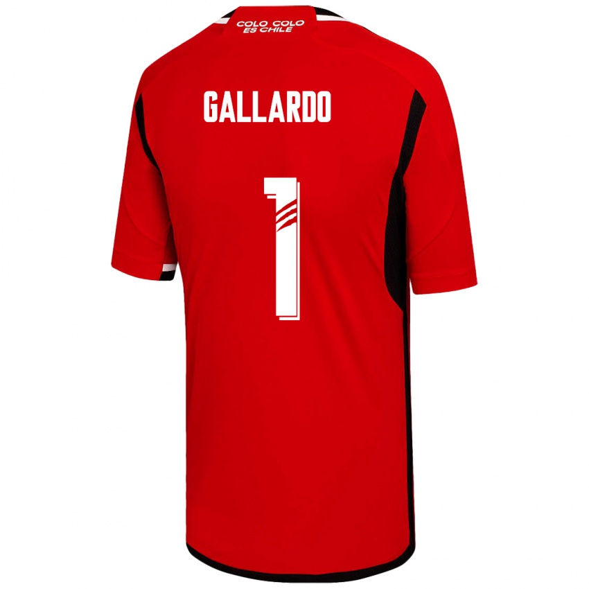 Kinder Alexia Gallardo #1 Rot Auswärtstrikot Trikot 2023/24 T-Shirt Österreich