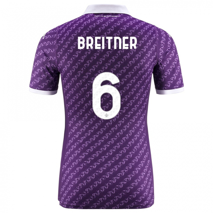 Herren Stephanie Breitner #6 Violett Heimtrikot Trikot 2023/24 T-Shirt Österreich