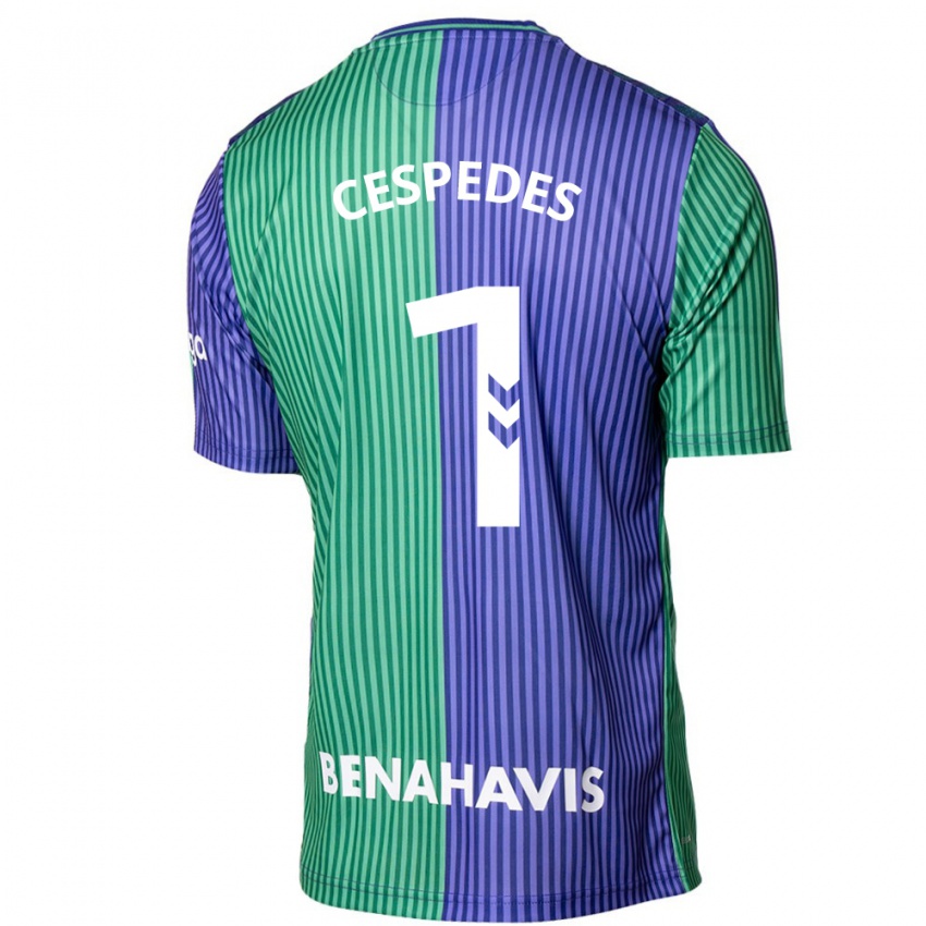 Damen Andrés Céspedes #1 Grün Blau Auswärtstrikot Trikot 2023/24 T-Shirt Österreich