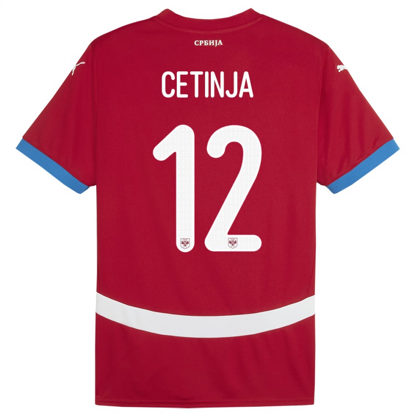 Kinder Serbien Sara Cetinja #12 Rot Heimtrikot Trikot 24-26 T-Shirt Österreich