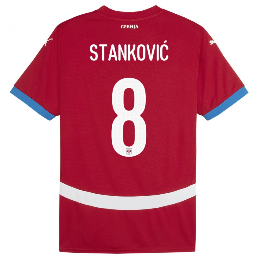 Kinder Serbien Aleksandar Stankovic #8 Rot Heimtrikot Trikot 24-26 T-Shirt Österreich