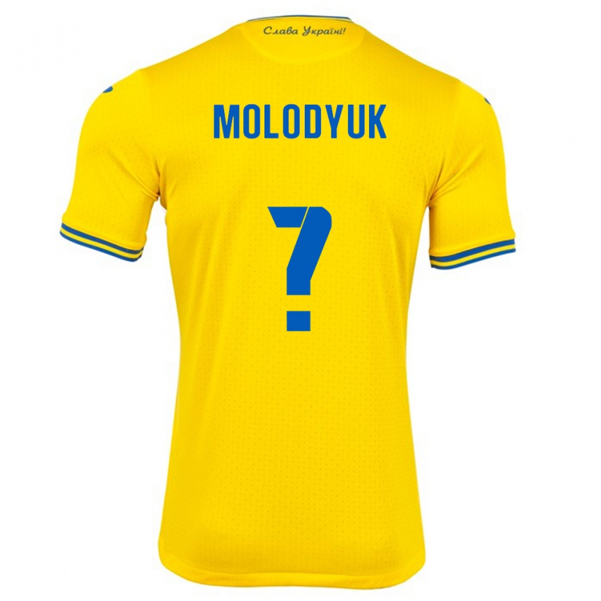 Kinder Ukraine Yelyzaveta Molodyuk #0 Gelb Heimtrikot Trikot 24-26 T-Shirt Österreich