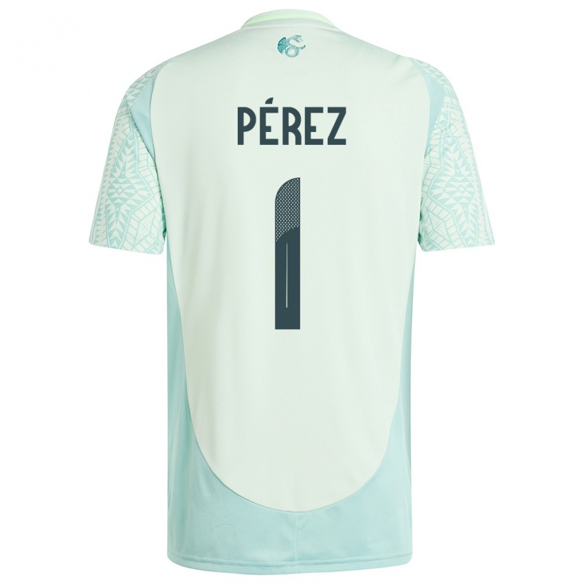 Kinder Mexiko Emiliano Perez #1 Leinengrün Auswärtstrikot Trikot 24-26 T-Shirt Österreich