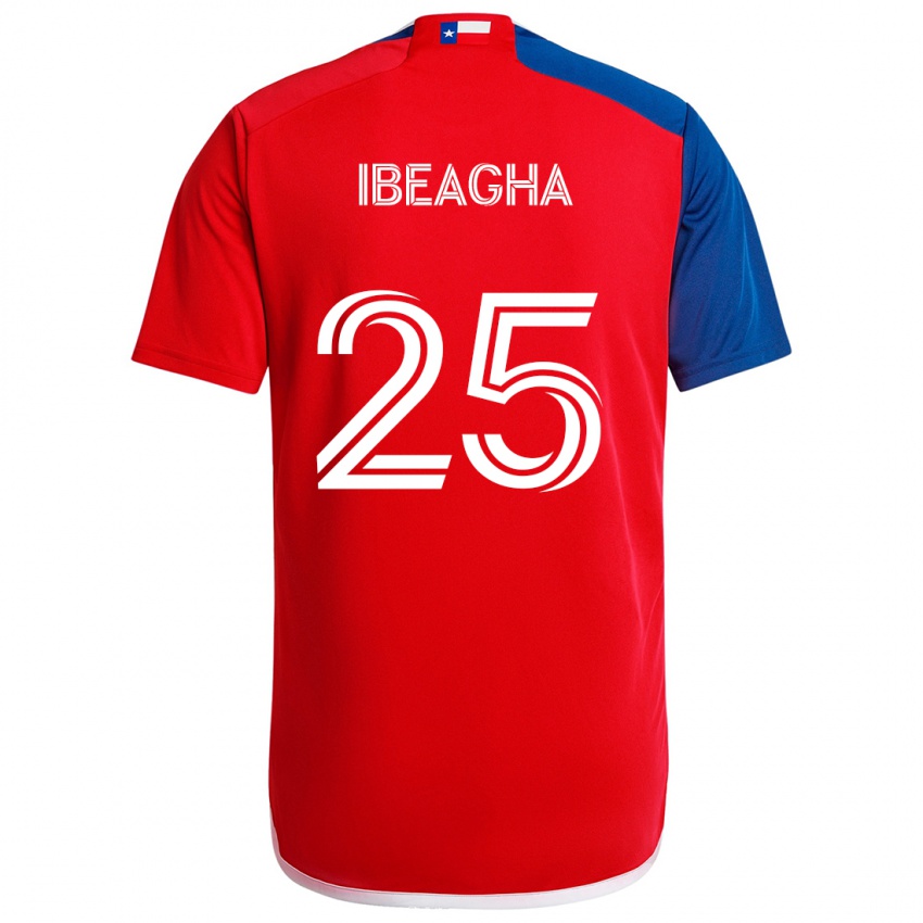 Kinder Sebastien Ibeagha #25 Blau Rot Heimtrikot Trikot 2024/25 T-Shirt Österreich