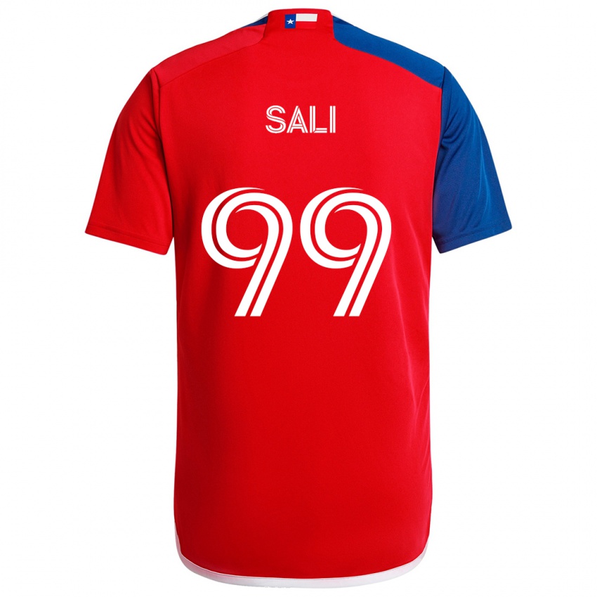 Kinder Enes Sali #99 Blau Rot Heimtrikot Trikot 2024/25 T-Shirt Österreich