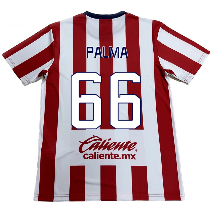 Kinder Arturo Palma #66 Rot-Weiss Heimtrikot Trikot 2024/25 T-Shirt Österreich