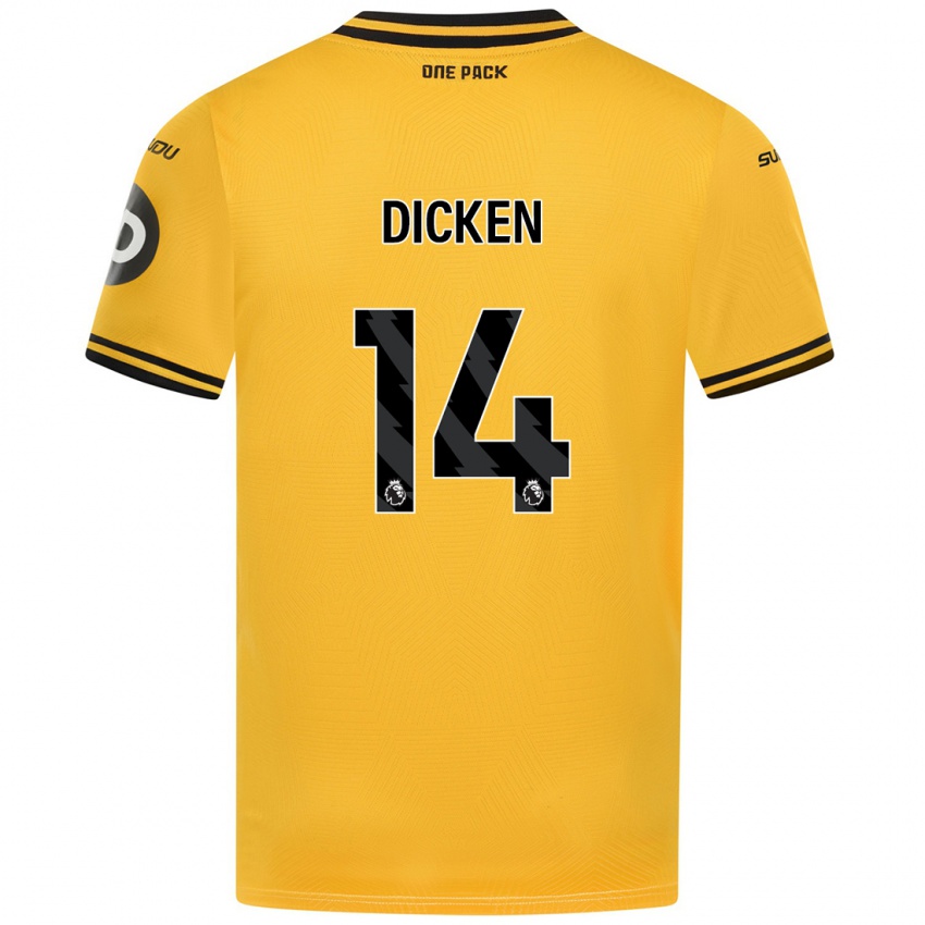 Kinder Amy Dicken #14 Gelb Heimtrikot Trikot 2024/25 T-Shirt Österreich