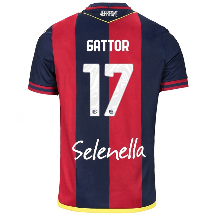 Kinder Gianluca Gattor #17 Rot Königsblau Heimtrikot Trikot 2024/25 T-Shirt Österreich