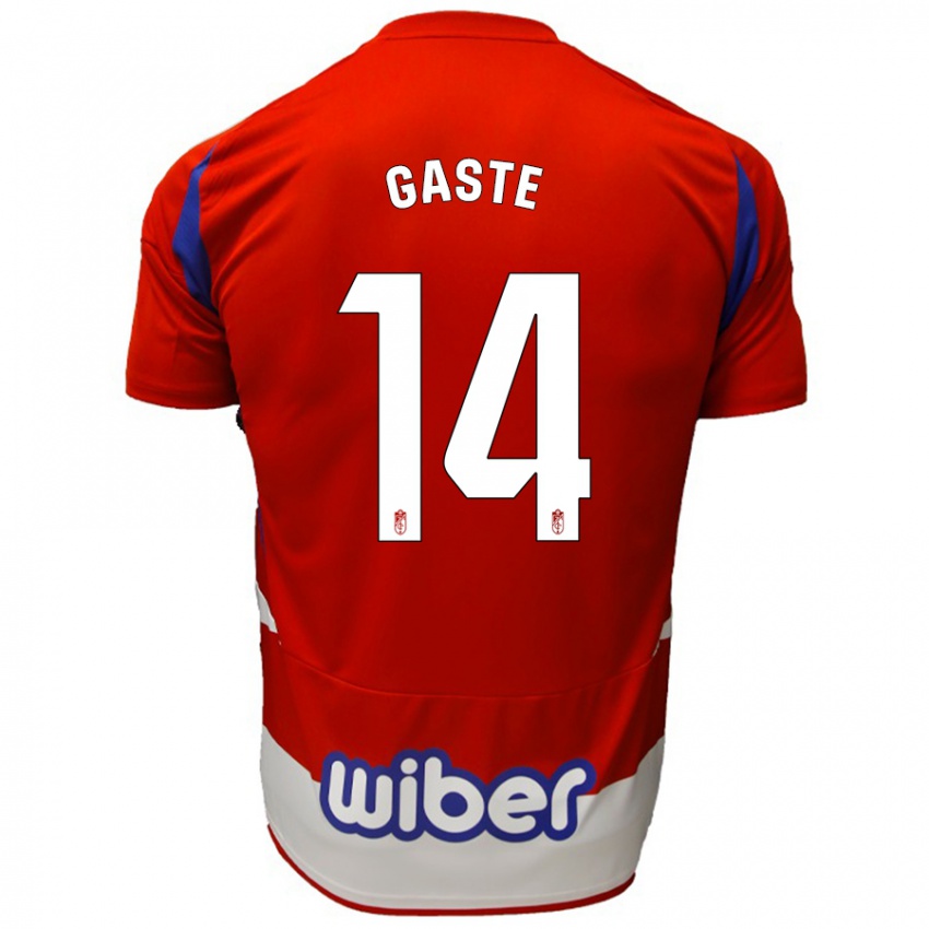 Kinder Gaste #14 Rot Weiß Blau Heimtrikot Trikot 2024/25 T-Shirt Österreich