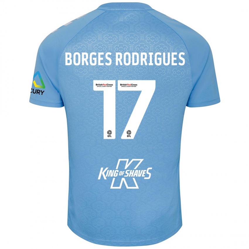 Kinder Raphael Borges Rodrigues #17 Blau Weiß Heimtrikot Trikot 2024/25 T-Shirt Österreich