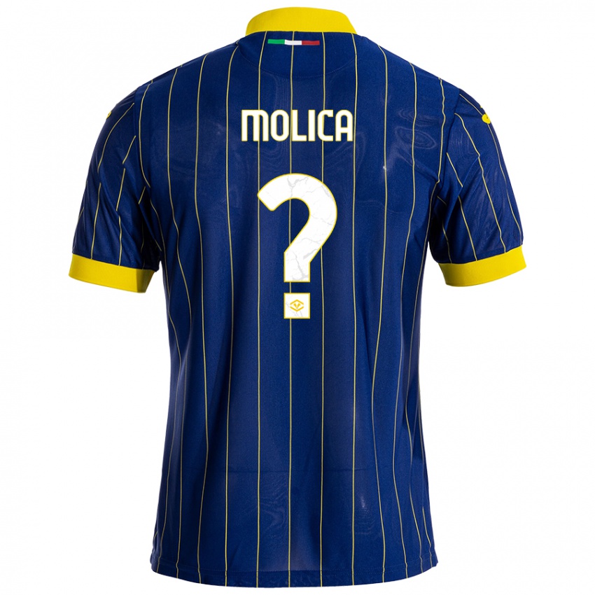 Damen Francesco Molica #0 Blau Gelb Heimtrikot Trikot 2024/25 T-Shirt Österreich