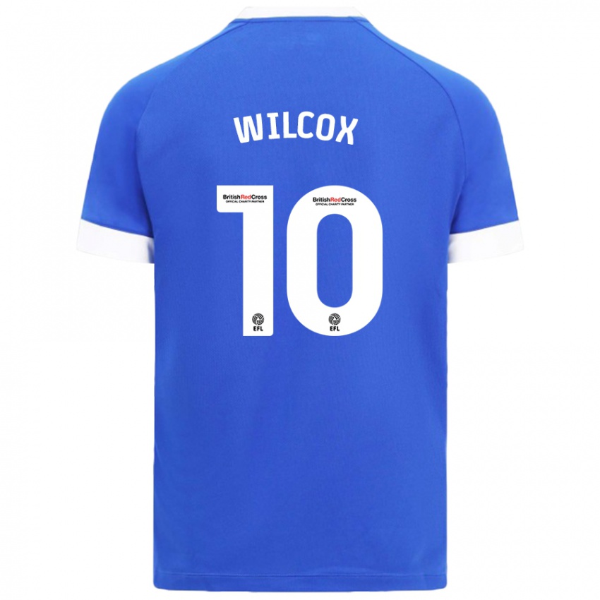 Kinder Danielle Wilcox #10 Himmelblau Heimtrikot Trikot 2024/25 T-Shirt Österreich