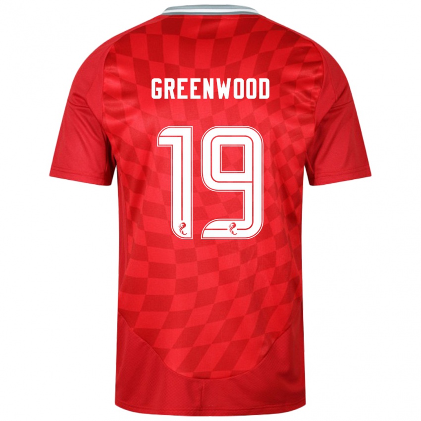 Kinder Brodie Greenwood #19 Rot Heimtrikot Trikot 2024/25 T-Shirt Österreich