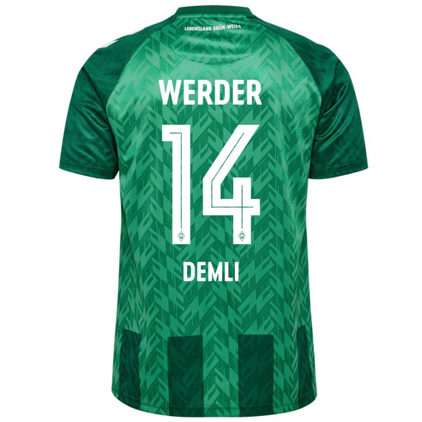 Kinder Rezan Demli #14 Grün Heimtrikot Trikot 2024/25 T-Shirt Österreich