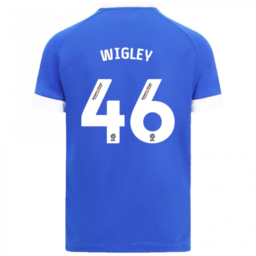 Herren Morgan Wigley #46 Himmelblau Heimtrikot Trikot 2024/25 T-Shirt Österreich