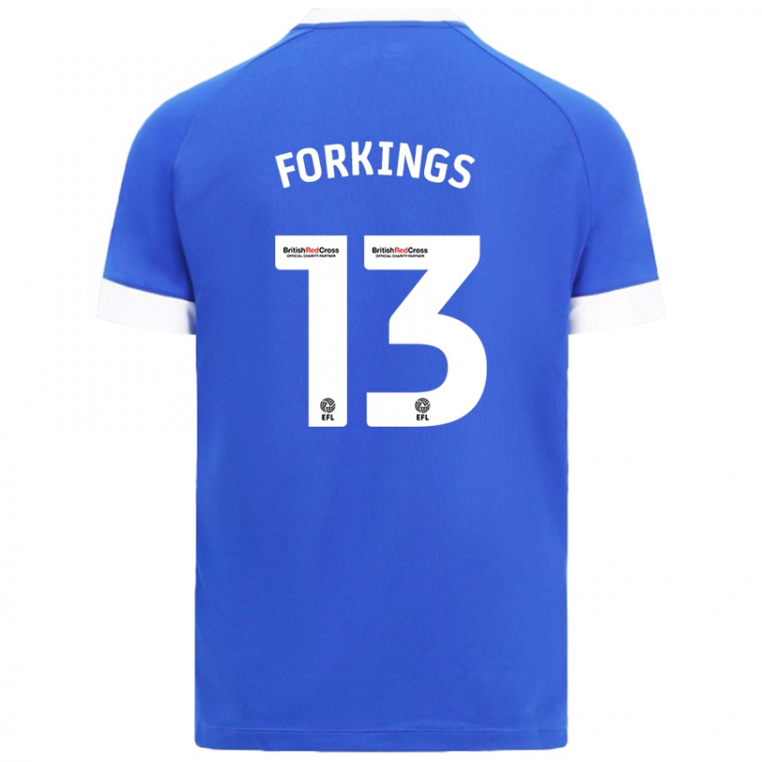 Herren Amelia Forkings #13 Himmelblau Heimtrikot Trikot 2024/25 T-Shirt Österreich