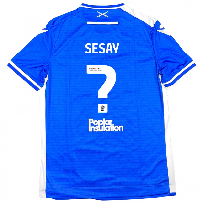 Kinder Malik Sesay #0 Blau Weiß Heimtrikot Trikot 2024/25 T-Shirt Österreich