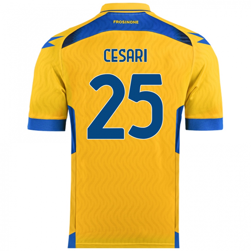 Herren Nicolò Cesari #25 Gelb Heimtrikot Trikot 2024/25 T-Shirt Österreich